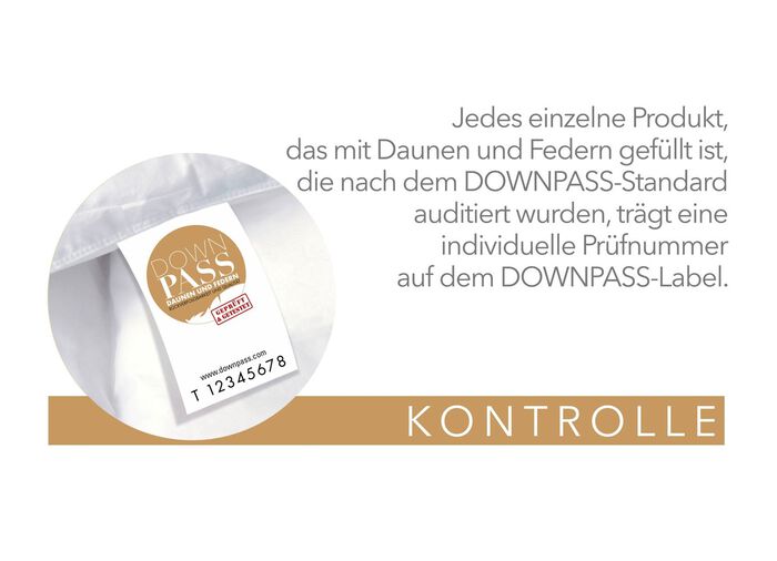 Downprogramma platina van Spessarttraum WIT